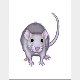 Cute Rat Drawing Posters and Art